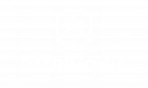 Logo der Patrimonia Unternehemensentwicklungs GmbH in weiß
